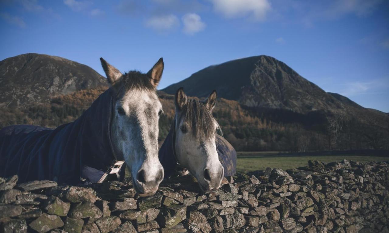 Loweswater Cedar Nookヴィラ エクステリア 写真